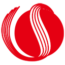 VSOL Logo
